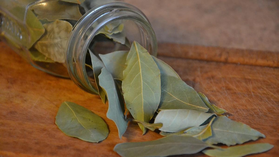 Quemar hojas de laurel