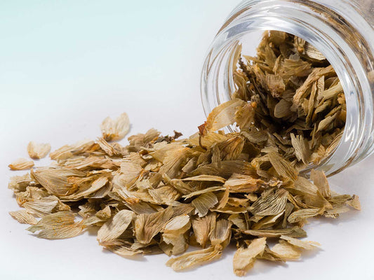 Inflorescencias de Lúpulo 10g